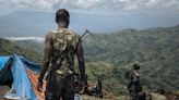 DR Congo sentences 25 soldiers to death for 'fleeing the enemy': lawyer