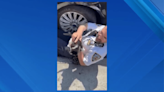 Cop rescues small black and white kitten in Brooklyn: video