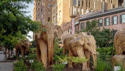 A Parade of Elephant Sculptures Makes a Jumbo Entrance in New York