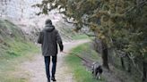 Guía práctica para que salga a pasear con sus mascotas de manera segura | Teletica