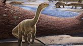Oldest dinosaur fossil in Africa discovered