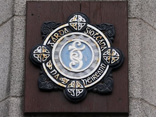 Gardaí launch major probe after man shoots at burglar’s van following robbery