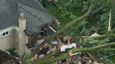 2-year-old killed, mother injured after tree falls on Livonia home from severe storm
