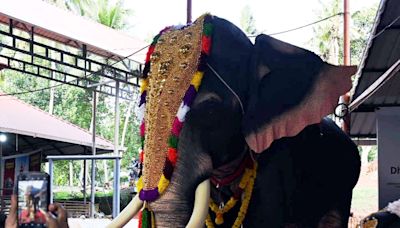 PETA does the unthinkable! Donates an elephant to a temple, but here’s the catch | Today News