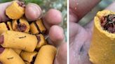 Fish hooks found in dog treats on Appalachian Trail in Lehigh County, Pennsylvania