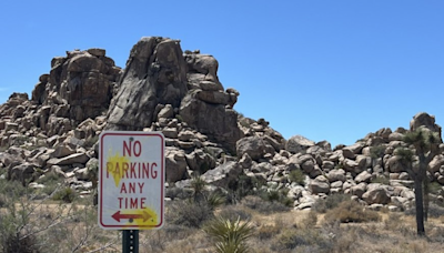 German tourists shoot paintballs all over Joshua Tree national park in California