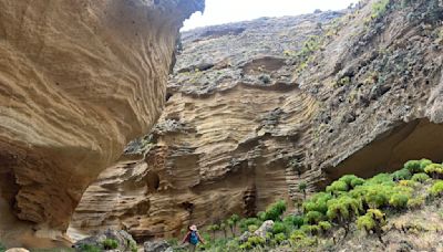 Dr. Seuss meets Zion on this wild California hike