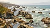 'Little ray of hope': Carbon hot spots discovered near California coast