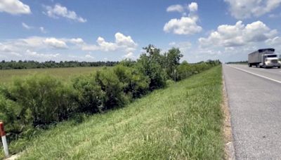 ‘Miracle baby’: 1-year-old found crawling along roadside after two days