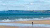 Yorkshire's 'best beach' has miles of sand and dolphins swimming in bay