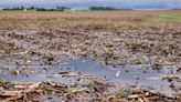 Much-needed rain keeps farmers out of the fields