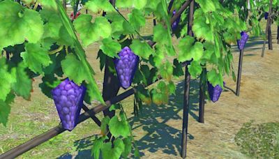 Final Fantasy 14 Keeps Infamous Low-Poly Grapes Amid Dawntrail Graphical Upgrade