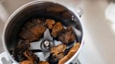 Chaga Mushroom Uses and Benefits