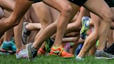 32 teams, 200 runners: All IESA cross country trophy winners, state medalists for 2023