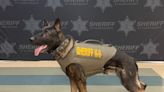 St. Clair County Sheriff’s Office K-9 receives body armor donation