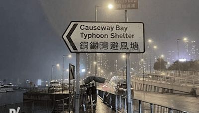 Husband dives into the sea to save intoxicated wife at Causeway Bay Typhoon Shelter - Dimsum Daily