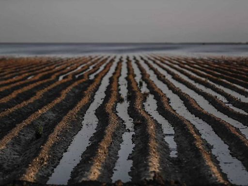 Last year’s wet winter gave California Central Valley groundwater levels a major boost