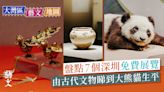 深圳福田｜深圳博物館7個免費展覽 明朝藩王文物 歷代陶瓷銅器