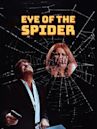 Eye of the Spider