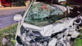 Seven die in head-on collision on Mumbai-Nagpur Samruddhi Expressway