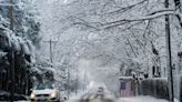 Storm dumps more than a foot of snow on parts of US Northeast