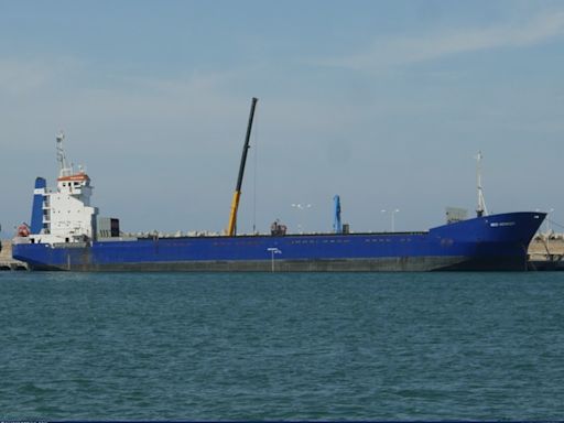 烏克蘭扣押懸喀麥隆籍貨輪 疑為俄羅斯運載「掠奪」糧食 - 國際