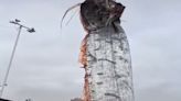 世界末日要來了？「5m蛇形魚王」浮海面 網曝311大震前「驚見數10隻」