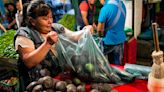 México identifica aguacates criollos con potencial de exportación y mejores que el Hass