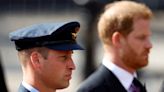 Prince Harry saw ‘the red mist’ in brother William during alleged physical confrontation