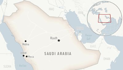 Saudi Arabia's 88-year-old King Salman has a lung infection and will take antibiotics, doctors say