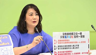 預告提案2758號決議未涉台 民進黨團盼朝野支持自己國家