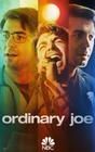 Ordinary Joe