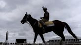 Mystik Dan looks like the horse to beat in the Preakness on what could be a muddy track | Texarkana Gazette