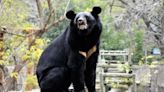 最夯「高雄壽山動物園」春節門票開搶 樂園、展覽下殺62折