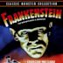 Frankenstein (1931 film)