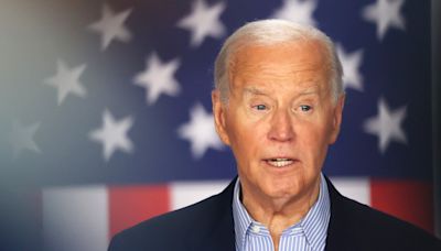 'There's no way out': Democrats feel powerless as 'elites' fall in line behind Biden