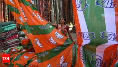 Maharashtra Exit poll 2024: NDA to win 29 seats, INDIA 19 | India News - Times of India