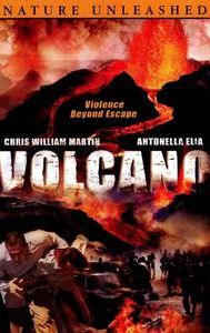 The Volcano Disaster (film)