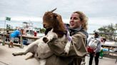 Goats evacuated from Murrells Inlet island as Tropical Storm Ian nears SC coasts