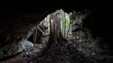 In Mexico’s Yucatan Peninsula, a hidden underground world is under threat by the Maya Train