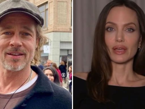 'Está usando como punição': entenda por que vinícola está no centro de disputa entre Brad Pitt e Angelina Jolie