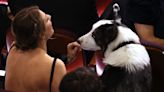 The Oscar moments you may have missed: From a befuddled Al Pacino to a peeing dog