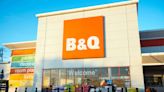 Shoppers run to B&Q to snap up 75p bargain buy that'll spruce up your garden