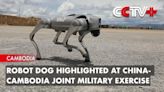 Así son los perros-robot con rifles automáticos del ejército chino