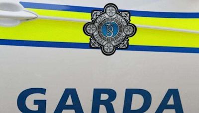 Two men arrested after three injured in Louth assault - Homepage - Western People