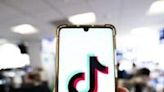 TikTok challenges potential US ban in court