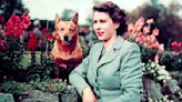 A History of Queen Elizabeth II and Her Devotion to Corgis