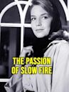 The Passion of Slow Fire