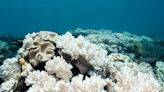 Aerial footage shows Great Barrier Reef suffering 'most severe' coral bleaching on record: 'It's time to act'