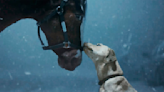 Super Bowl commercials 2024: All the best ads and movie trailers